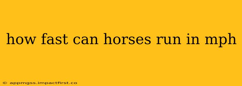 how fast can horses run in mph