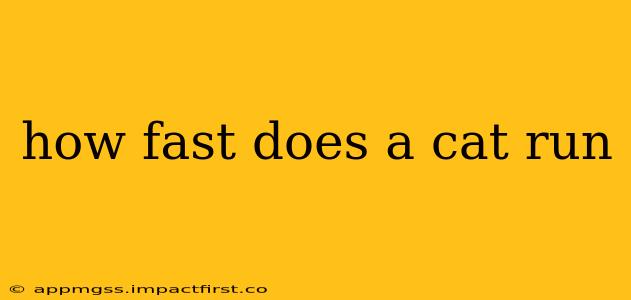 how fast does a cat run
