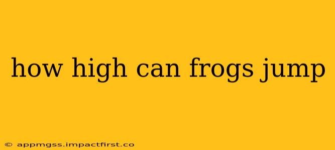 how high can frogs jump