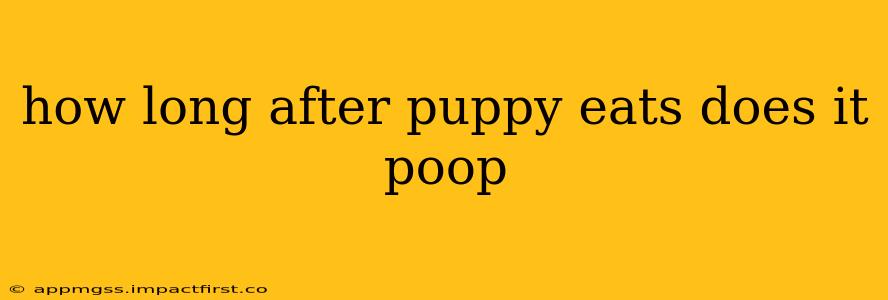 how long after puppy eats does it poop