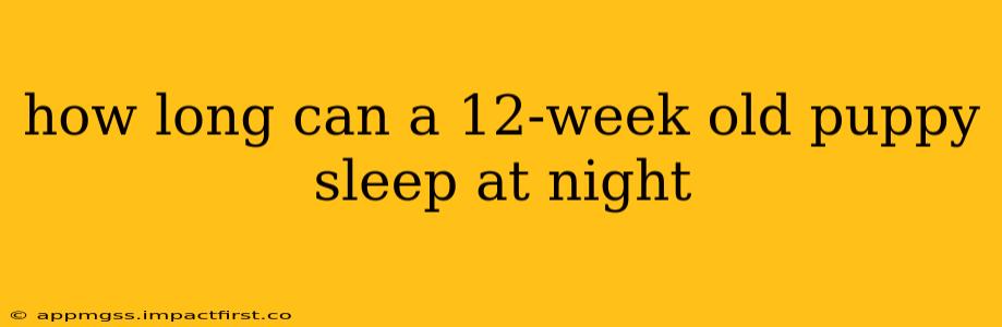 how long can a 12-week old puppy sleep at night