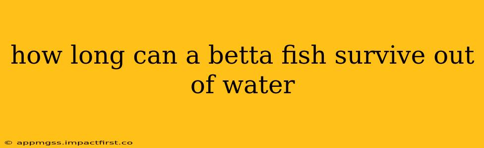 how long can a betta fish survive out of water