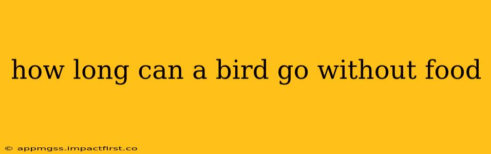 how long can a bird go without food