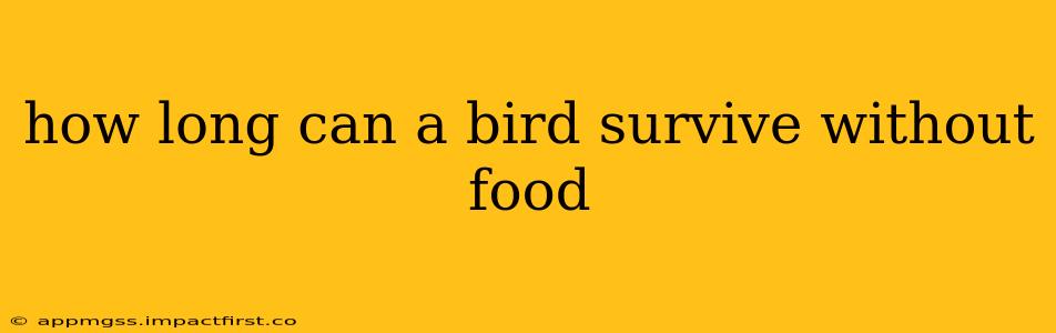 how long can a bird survive without food