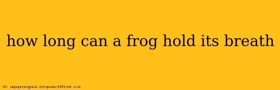 how long can a frog hold its breath