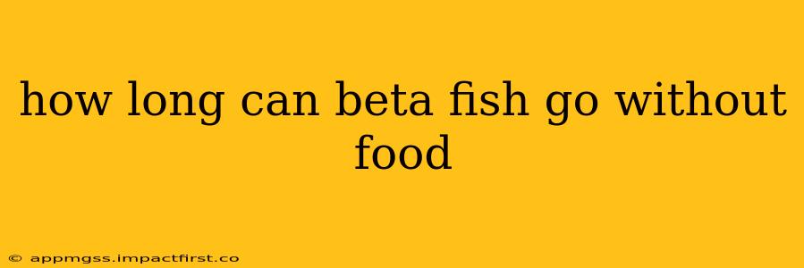 how long can beta fish go without food