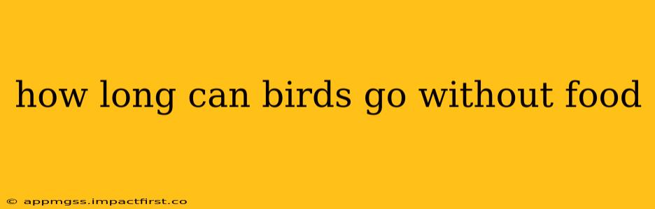 how long can birds go without food