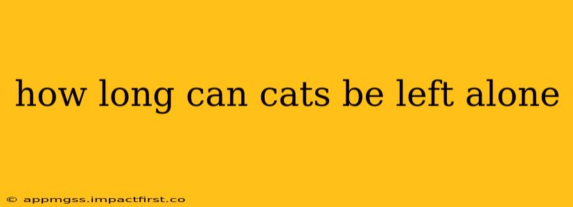 how long can cats be left alone