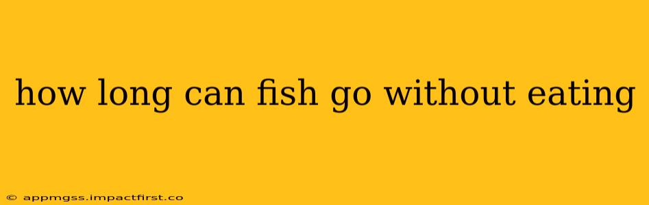 how long can fish go without eating