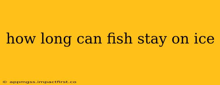 how long can fish stay on ice