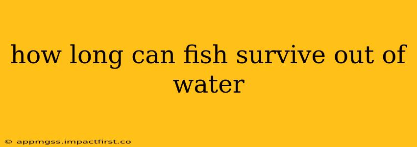 how long can fish survive out of water