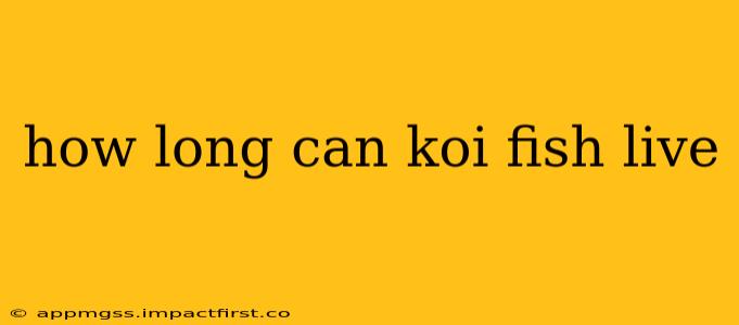 how long can koi fish live