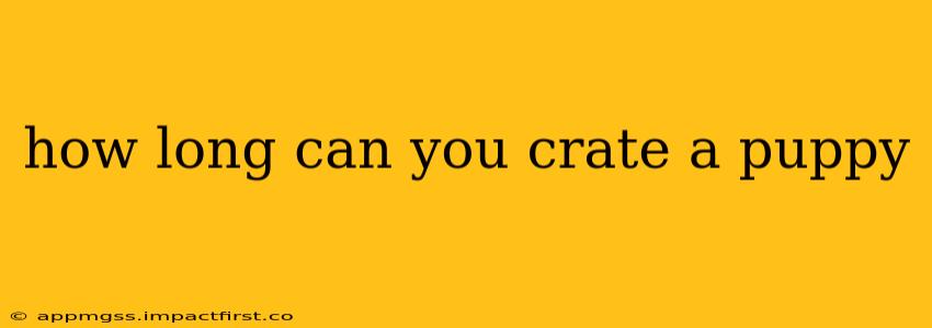 how long can you crate a puppy