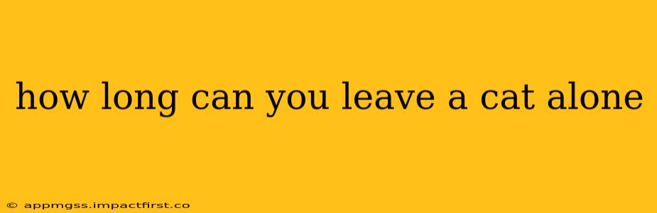 how long can you leave a cat alone