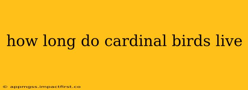 how long do cardinal birds live