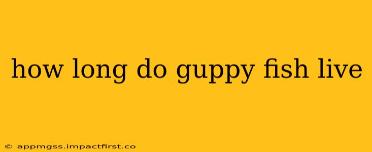 how long do guppy fish live