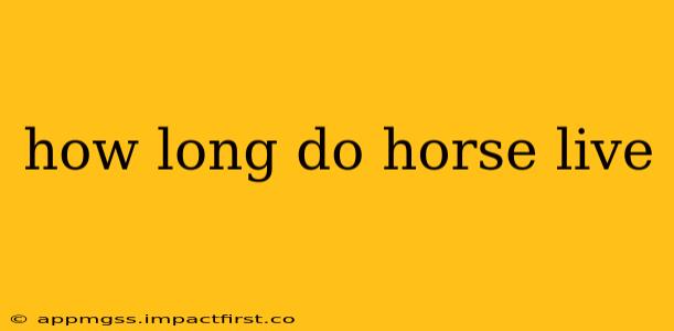 how long do horse live