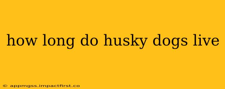 how long do husky dogs live