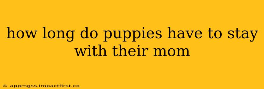 how long do puppies have to stay with their mom