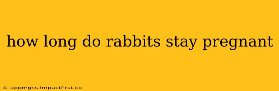 how long do rabbits stay pregnant