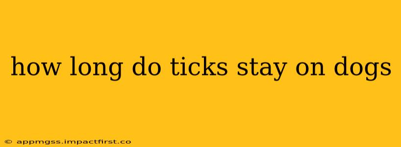 how long do ticks stay on dogs