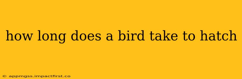 how long does a bird take to hatch