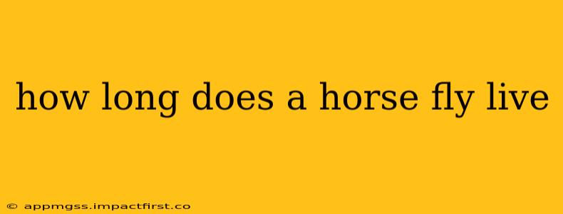 how long does a horse fly live