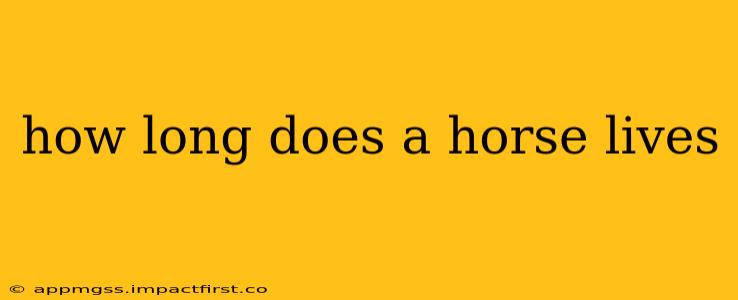 how long does a horse lives