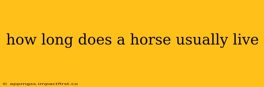 how long does a horse usually live