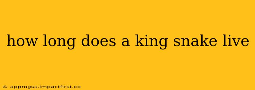 how long does a king snake live