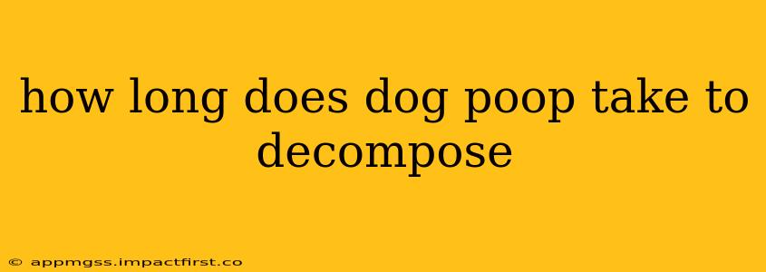 how long does dog poop take to decompose