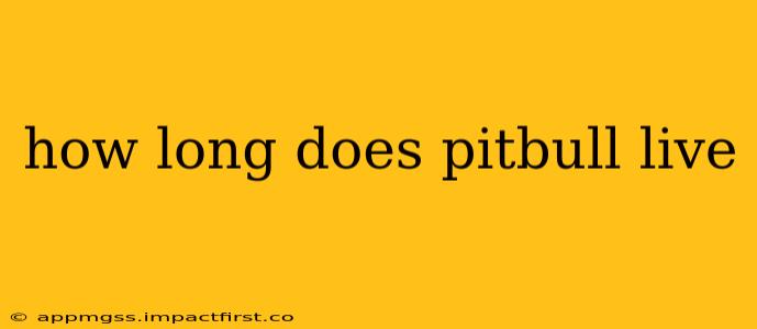 how long does pitbull live