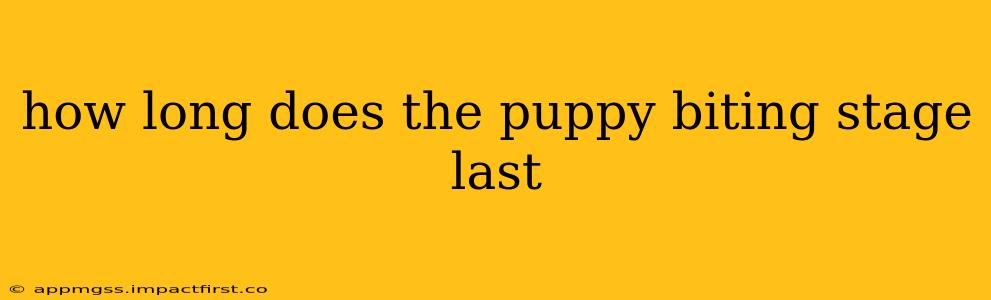 how long does the puppy biting stage last