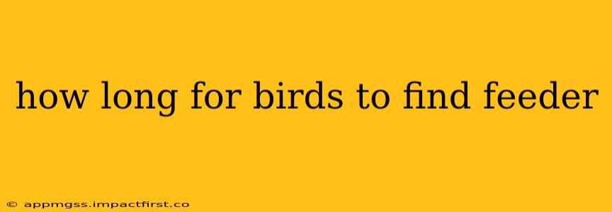 how long for birds to find feeder