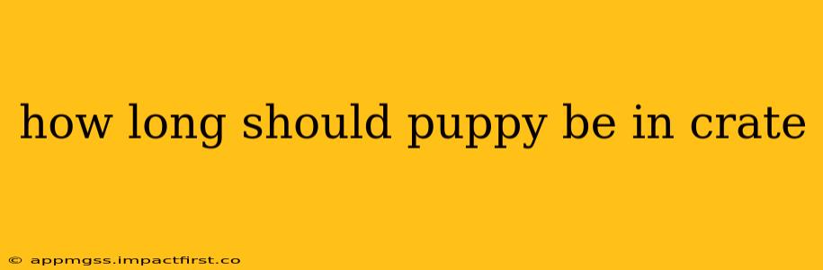 how long should puppy be in crate