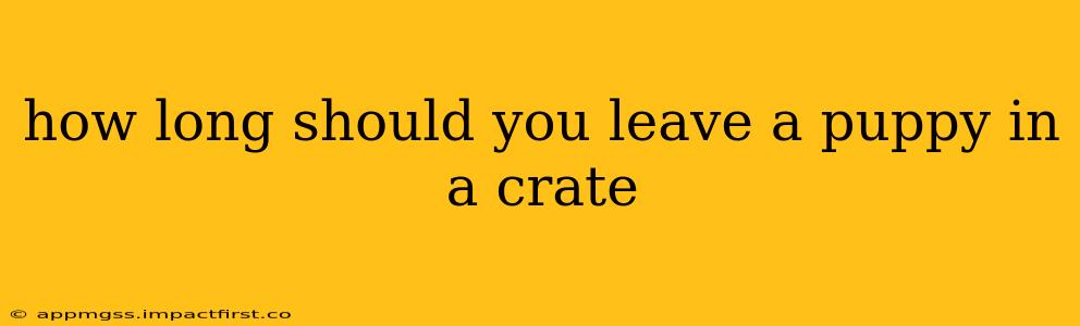 how long should you leave a puppy in a crate