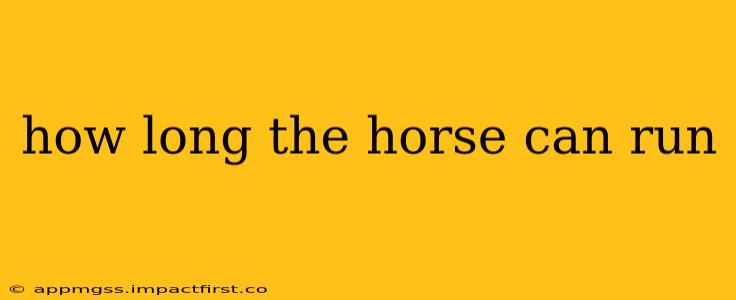 how long the horse can run