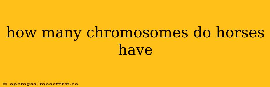 how many chromosomes do horses have