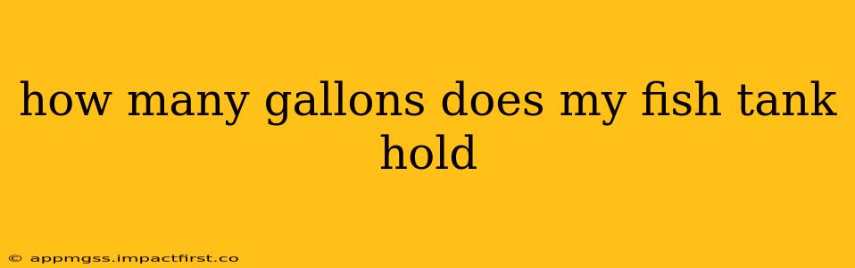 how many gallons does my fish tank hold