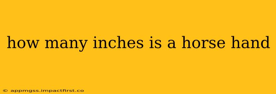 how many inches is a horse hand