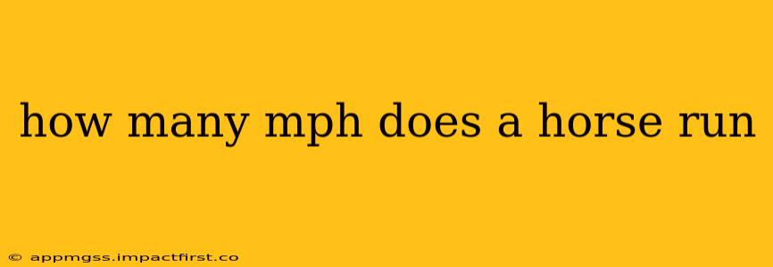 how many mph does a horse run