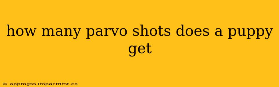 how many parvo shots does a puppy get