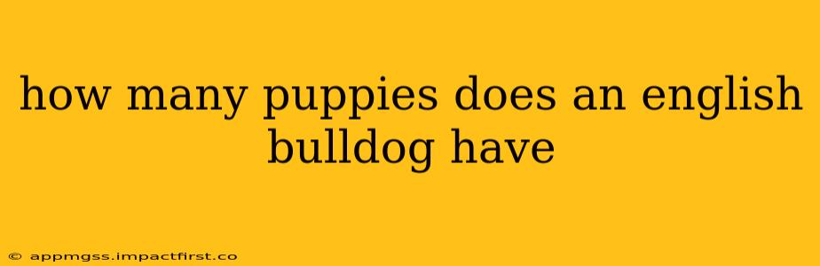 how many puppies does an english bulldog have