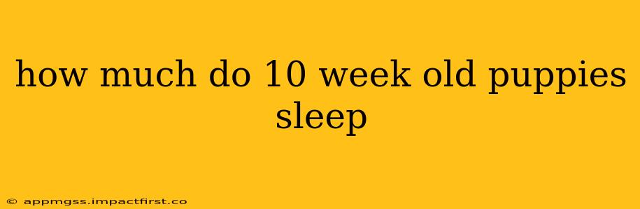 how much do 10 week old puppies sleep