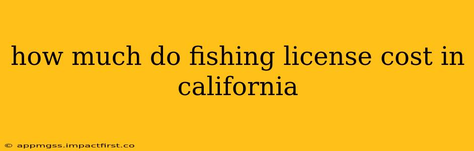 how much do fishing license cost in california