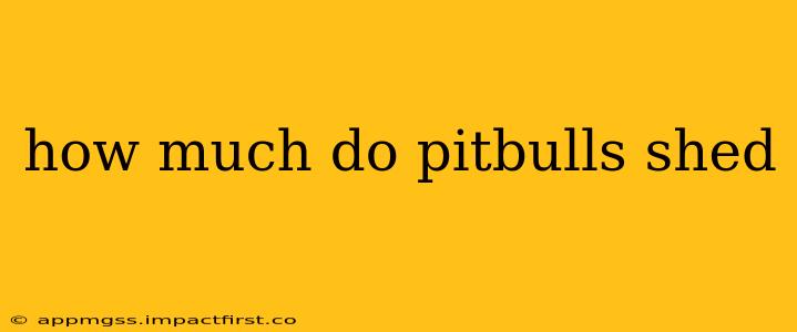 how much do pitbulls shed