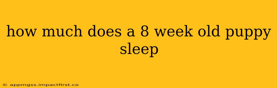 how much does a 8 week old puppy sleep