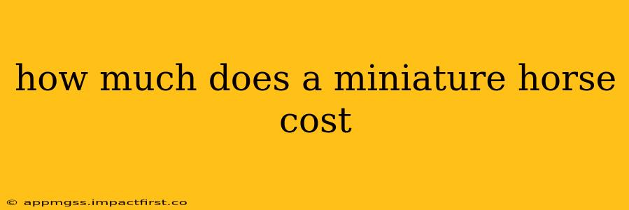 how much does a miniature horse cost