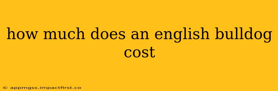 how much does an english bulldog cost