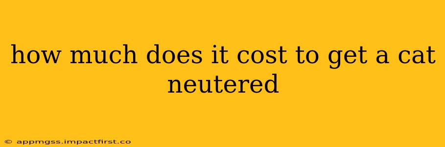 how much does it cost to get a cat neutered